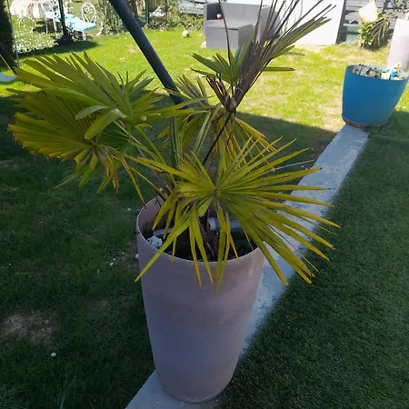 Hébergement de vacances Family House
